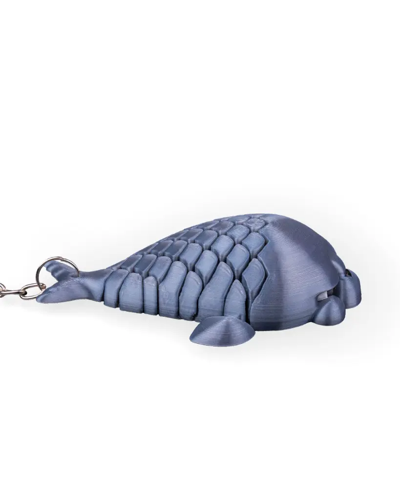 Phil_the_Seal_WB_4_54f6183075.webp