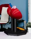 Kidney_Anatomical_Model_5_Photoroom_a5d6657ba3.webp