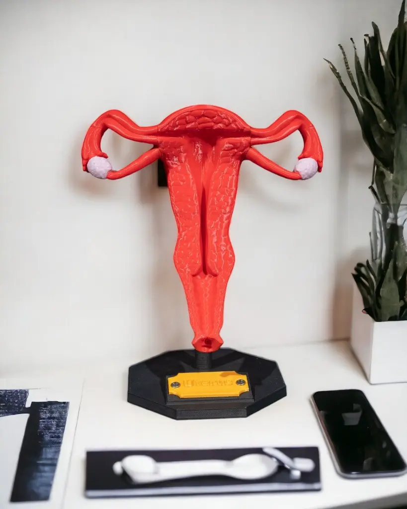 Uterus_1_Photoroom_2_3a2cd634d7.webp