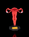 Uterus_1_06f58b0b33.webp