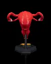 Uterus_6_2355d9c786.webp