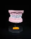Upper_and_Lower_Dental_Arch_1_418a047728.webp