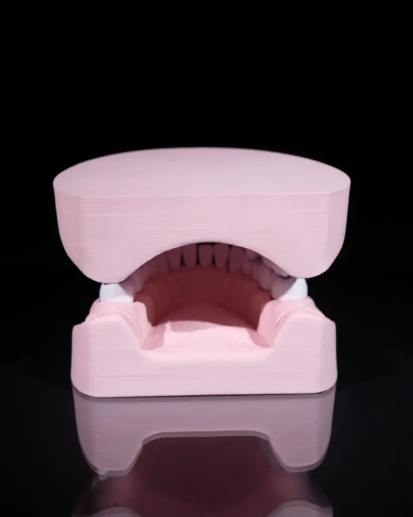 Upper_and_Lower_Dental_Arch_10_b058f4522b.webp
