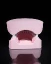 Upper_and_Lower_Dental_Arch_10_b058f4522b.webp