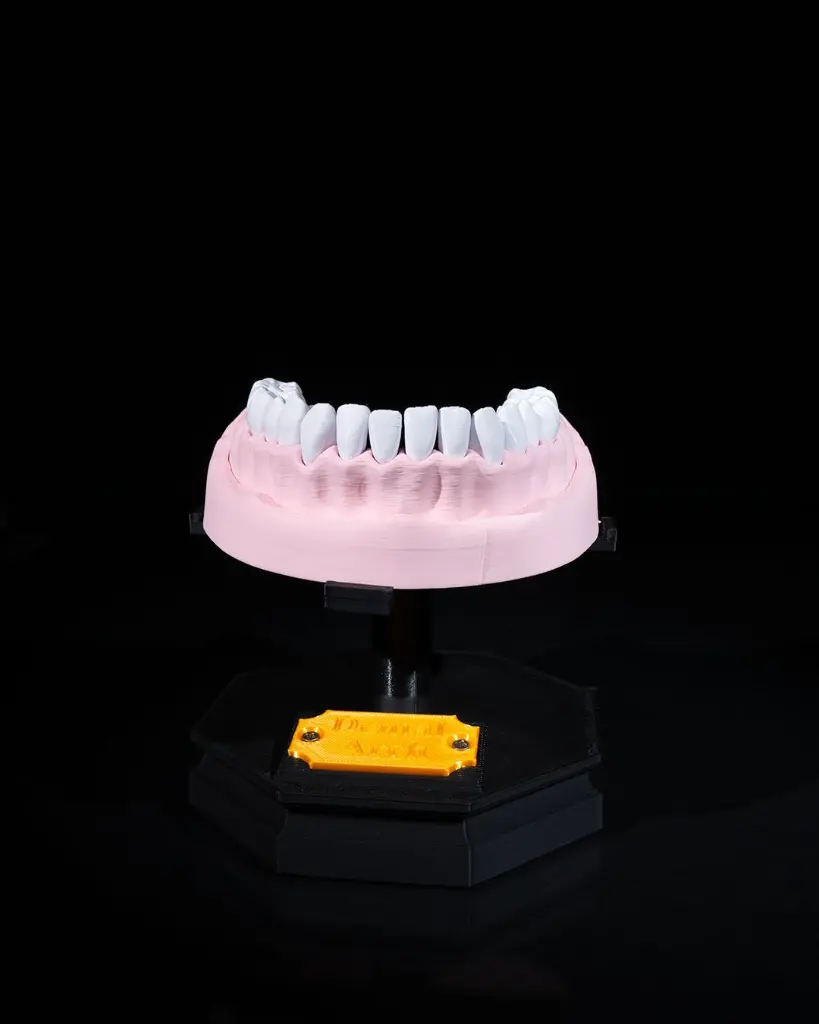Upper_and_Lower_Dental_Arch_5_dcaefad539.webp