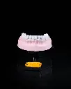 Upper_and_Lower_Dental_Arch_5_dcaefad539.webp