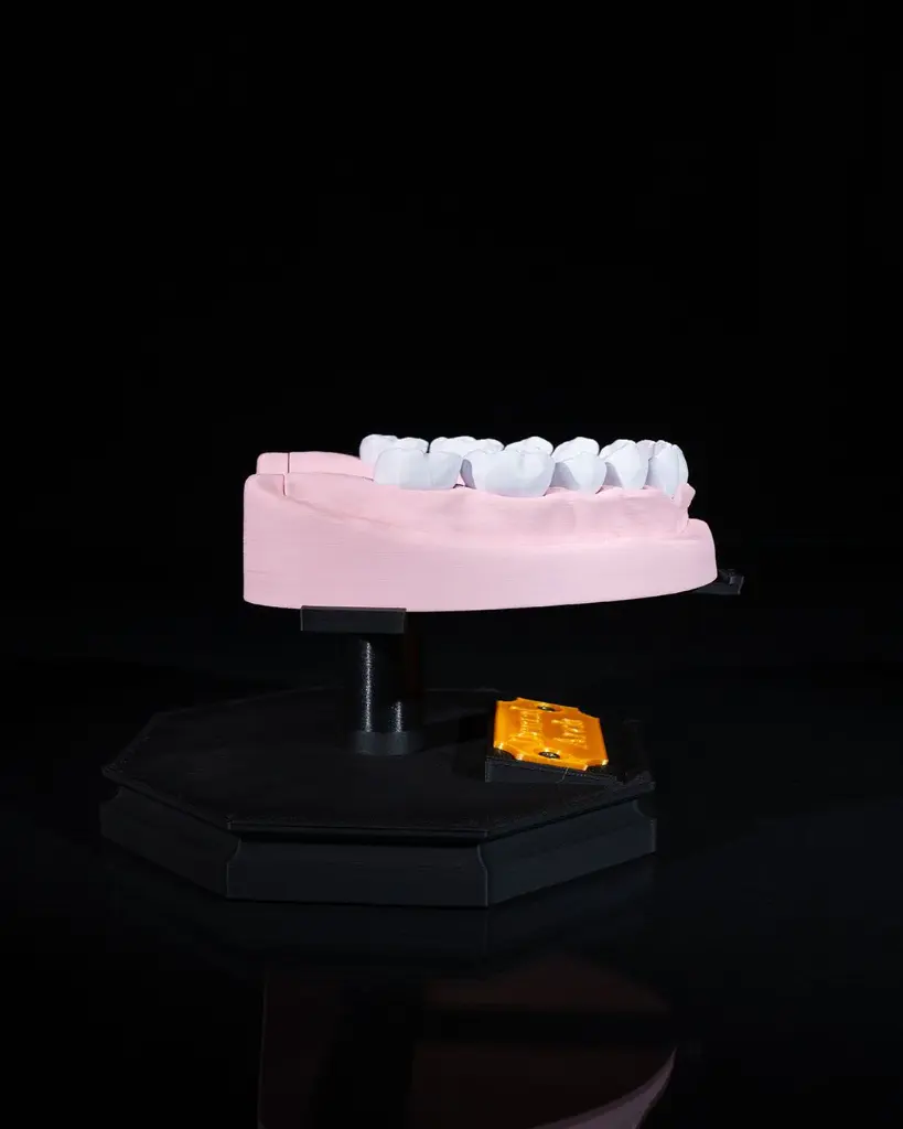 Upper_and_Lower_Dental_Arch_6_0bcd3097f8.webp