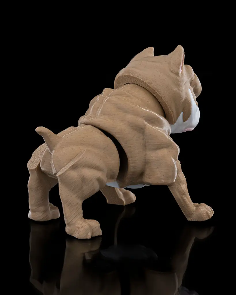 American_Bully5_4941d668e6.webp