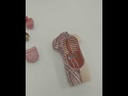 youtube - [Video]