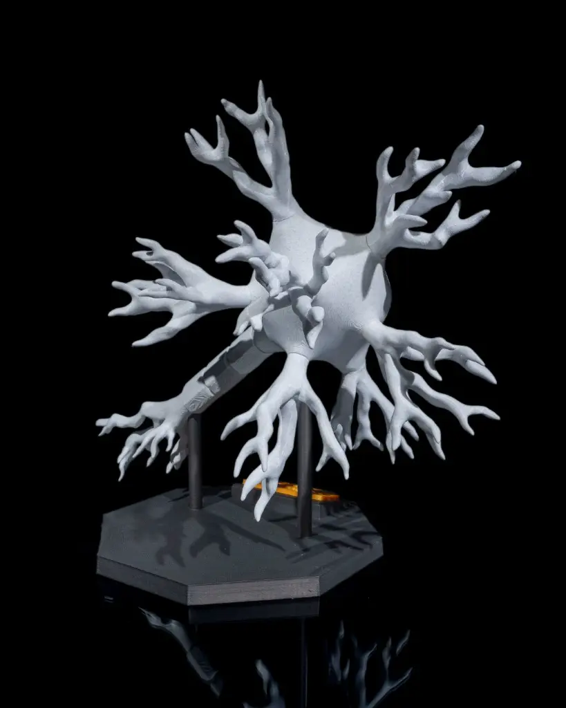 Neural_Cell_5_ffe1ab9682.webp