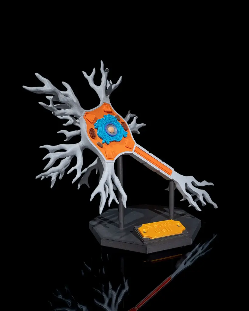 Neural_Cell_3_73e8d2e35c.webp