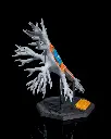 Neural_Cell_4_9ba7876e75.webp