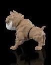 American_Bully3_3dd16a11a6.webp