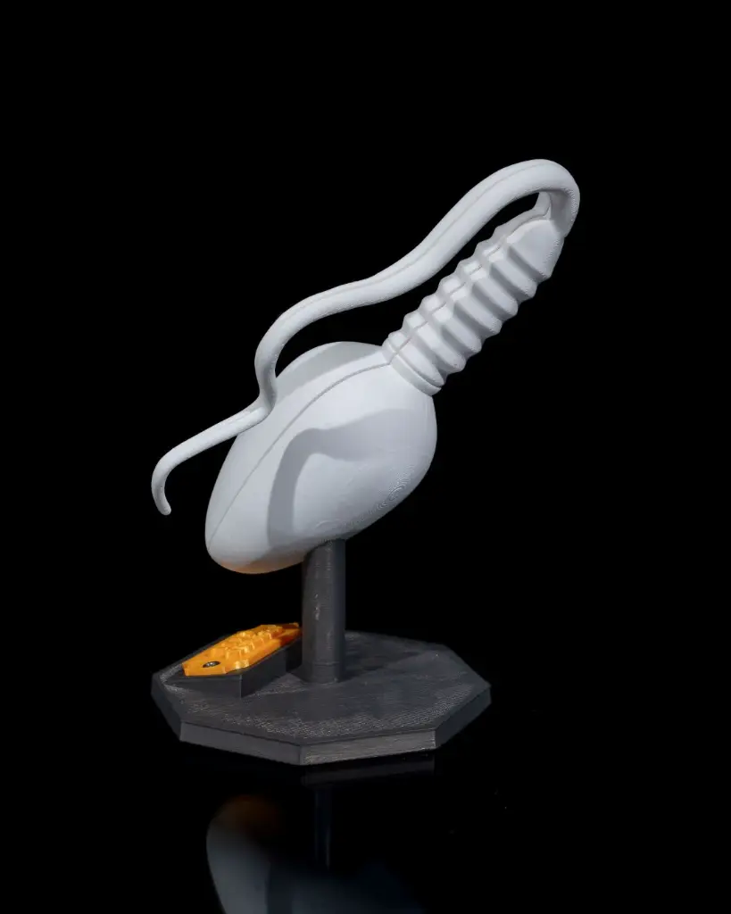 Sperm_Cell_8_e7e4e4ef48.webp