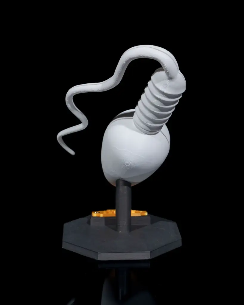 Sperm_Cell_7_3b838424a7.webp