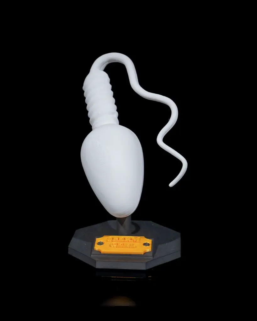 Sperm_Cell_2_0b6b8ff3cd.webp