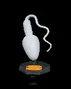 Sperm_Cell_2_0b6b8ff3cd.webp