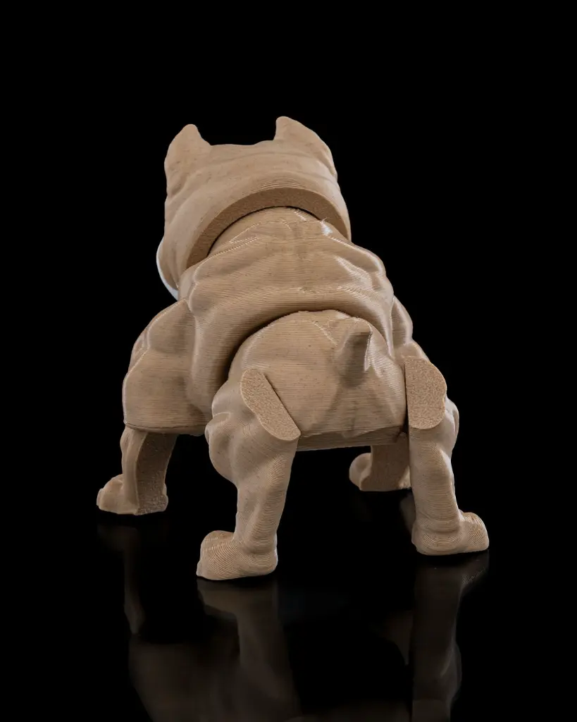 American_Bully4_0ddfcc1df7.webp