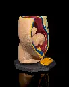 Female_Reproductive_System_3_b3ff014cff.webp