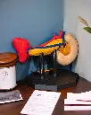 Pancreas_Anatomical_Model_5_Photoroom_5eaacc9b17.webp