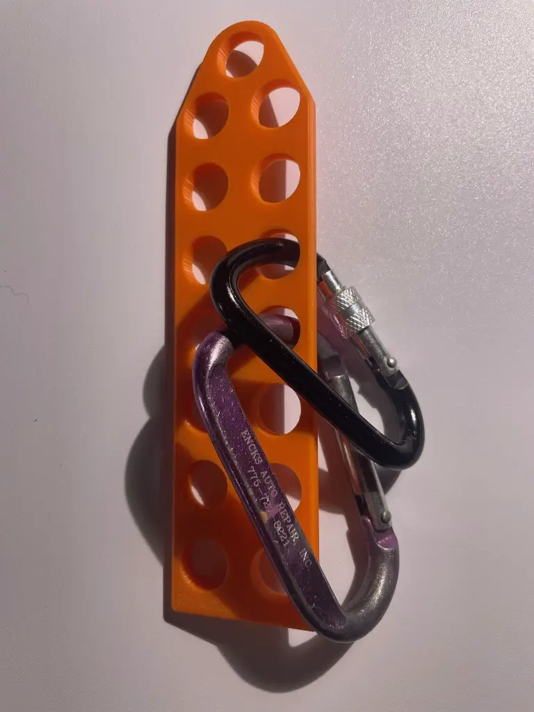 carabiner organizer 1.webp