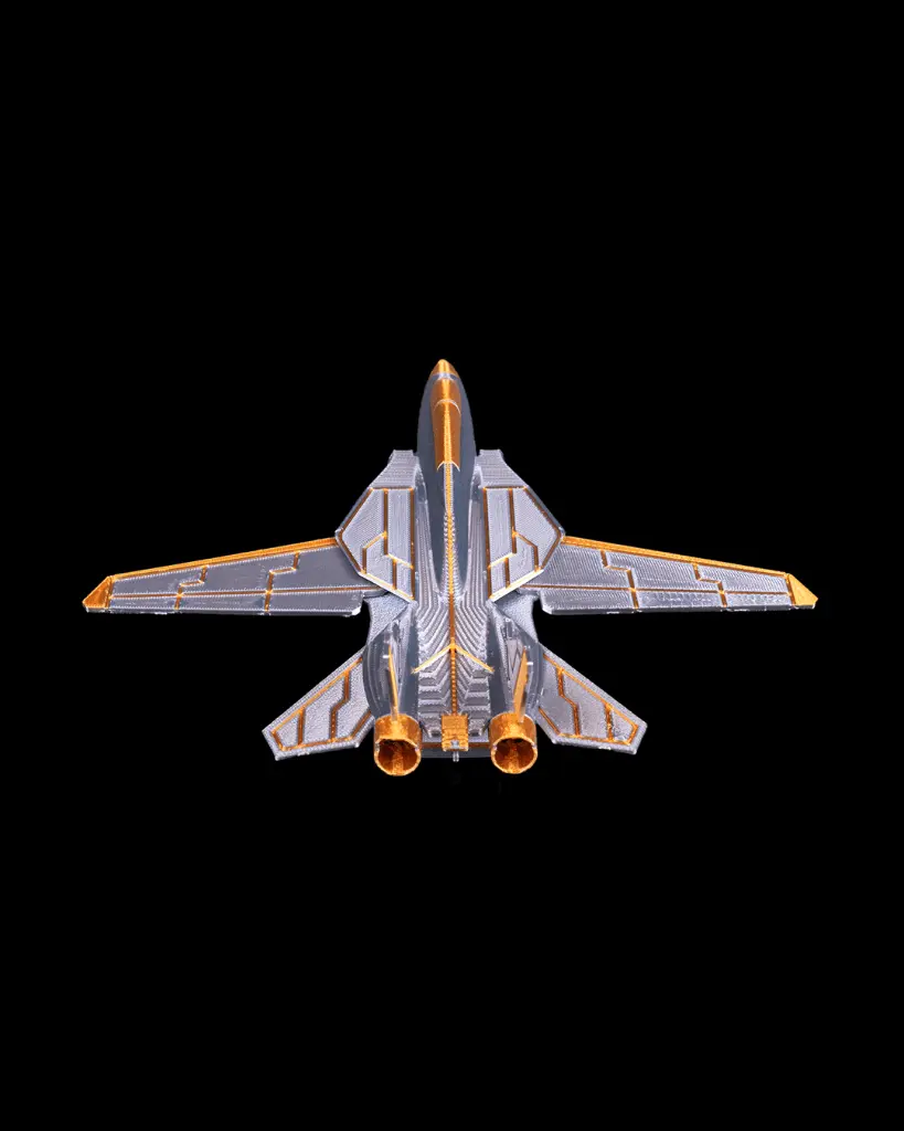 F_14_Tomcat_5_8bbcb91375.webp