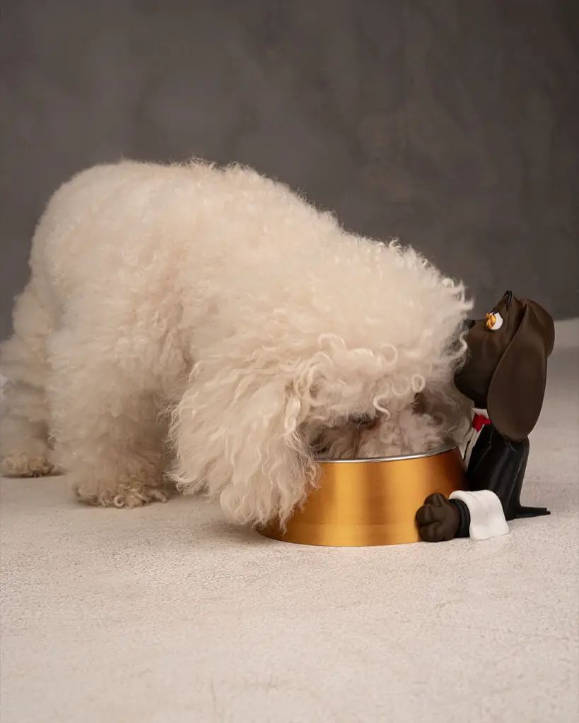 Pawsh_Service_Pet_Bowl_Stand6_3d2e1d3c10.webp