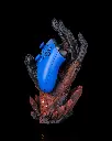 Light_Fracture_Controller_Holder_6_9ecfb9f5a7.webp