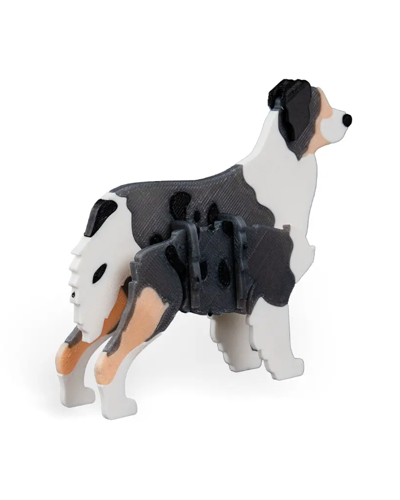 Australian_Shepherd_Kit_Card_WB_psb2_2471a77410.webp