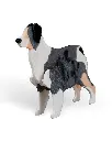 Australian_Shepherd_Kit_Card_WB_psb5_58ba299df8.webp