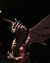 03_68cefd0b92.webp