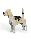 Beagle_Kit_Card_WB_psb6_8a6714c1a2.webp