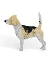 Beagle_Kit_Card_WB_psb5_6dfe9c7661.webp