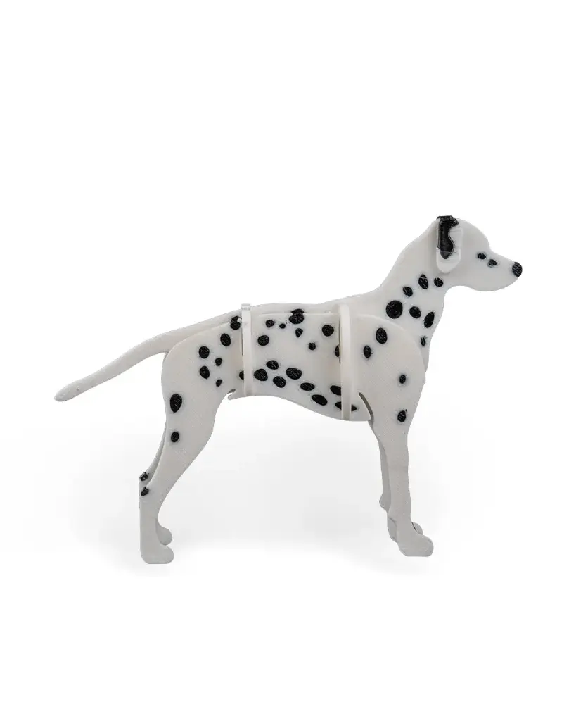 Dalmatian Kit Card