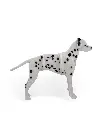 Dalmatian Kit Card