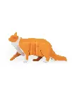 Maine Coon Kit Card