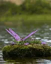 Lenny the Dragonfly