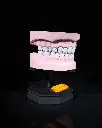 Dental Arch Anatomical Model
