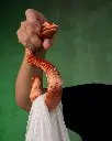 Snake Hook Bag Holder