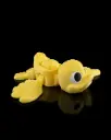 Quacker Duckling