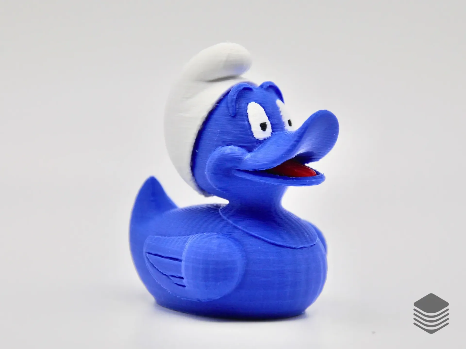 Blue Duck