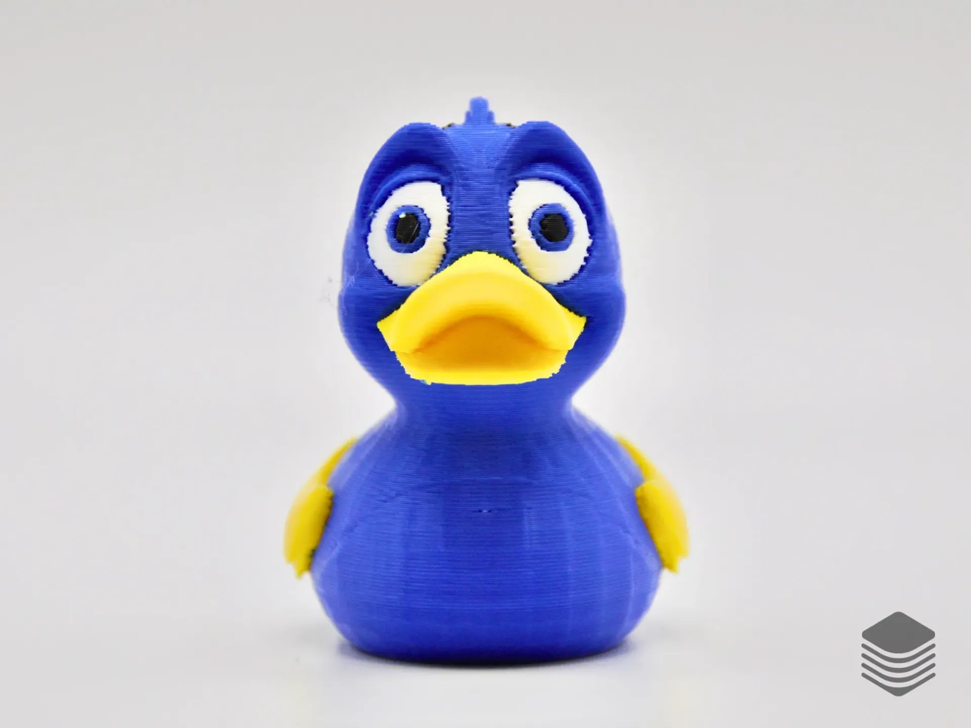 Fish Duck