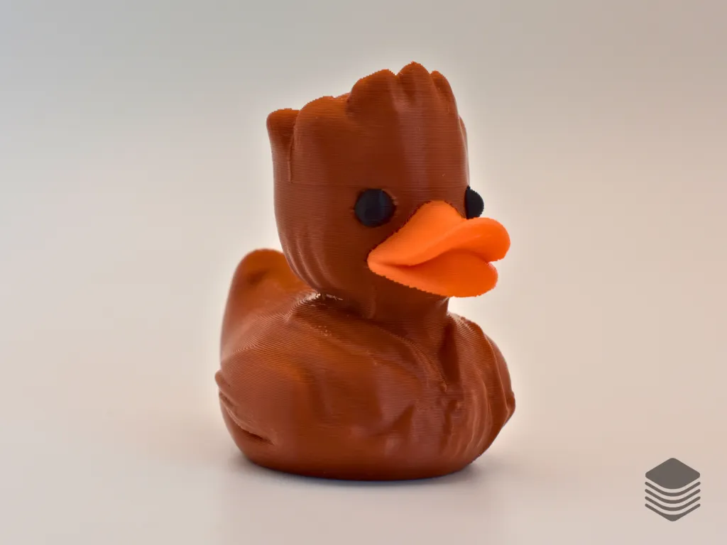 Wood Duck