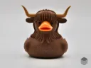 Highland Cow Duck