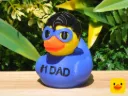 Super Hero Dad Duck