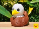 Bald Eagle Duck