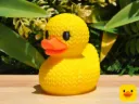Knitted Duck