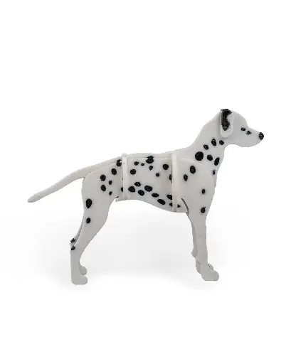 Dalmatian Kit Card