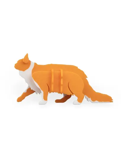 Maine Coon Kit Card