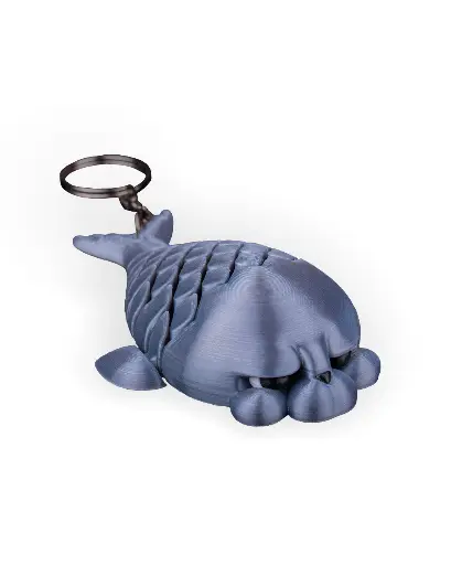 Phil the Seal